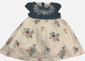 Baby Girls Sprout Brand Blue White Floral Print Dress Size 0 New Without Tags - Picture 1 of 2