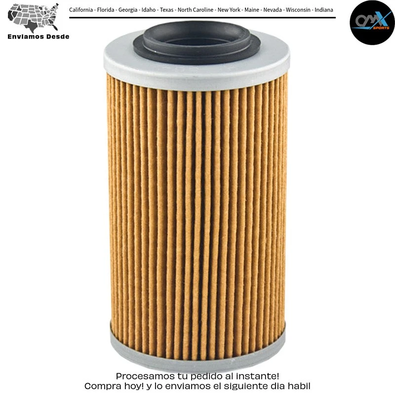 FILTRO DE ACEITE Buell Aprilia Can-Am 1125R Helicon 1125CR Helicon Tuono 1000R Tuono Foto 1 de 1