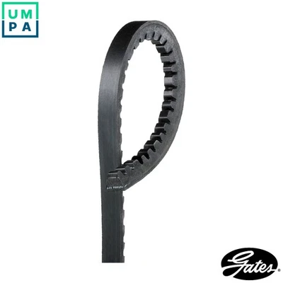 VBELT AVX10X1125HD FOR LEXUS TOYOTA PRADO/LAND/CRUISER AUTANA MACHO CAREVACA - Image 1 of 4