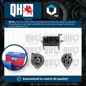 Alternador compatible con RILEY KESTREL 1.1 65 a 67 10H QH genuino de alta calidad garantizada - Imagen 1 de 2