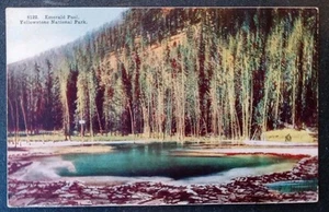 Postcard Emerald Pool Yellowstone National Park Wyoming WY - Picture 1 of 2