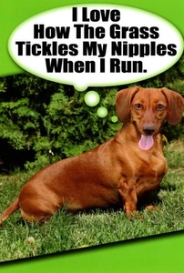 Funny Happy Birthday Dachshund Weenie Dog Old Boobs Breasts Sag Greeting Card - Picture 1 of 3