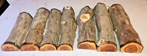 MEZZI TRONCHI LOTTO 7 PEZZI 324A TASSO TORNITURA LEGNO LEGNO VUOTO - Foto 1 di 1
