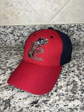 Brevard County Manatees 2015 4th July SGA Mens Hat MiLB Minor League Baseball