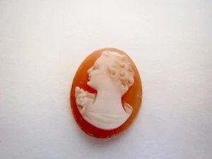 Left Facing Loose Stone Shell Victorian Oval CAMEO Size .5''x.75'' Length - Picture 1 of 6