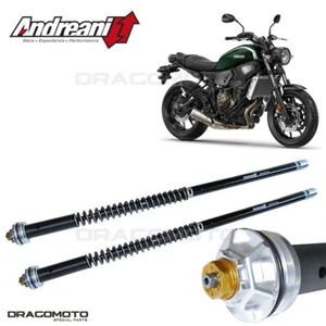 YAMAHA XSR 700 2015-2021 cartuccia ANDREANI 105/Y11E MISANO - Imagen 1 de 5