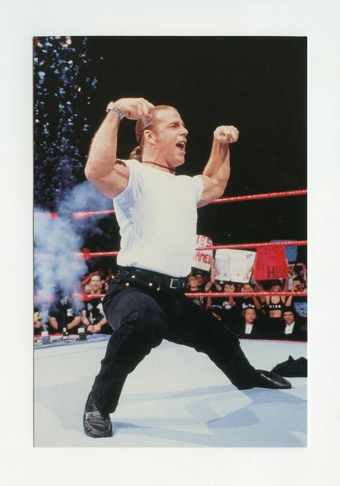 #TN07600 HEARTBREAK KID SHAWN MICHAELS 1999 WWF Card - Image 1 of 1