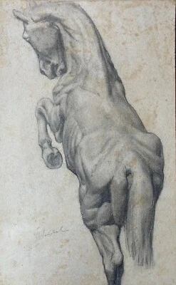 Disegno Di Matita Di Friedrich Westphal Di Cavalli In Riva 37,8 X 23,6 Cm - Bild 1 von 4