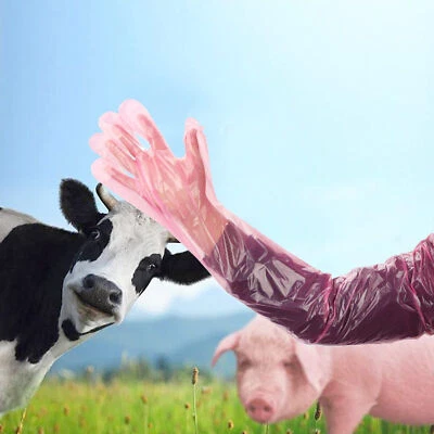 50PCS Disposable Long Arm Sleeves Glove Plastic Animal Midwifery Gloves - image 1 of 4