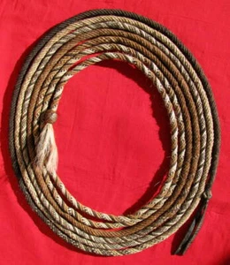 FINE & RARE ANTIQUE 6 STRAND 4 COLOR CANDY STRIPE MANE HORSEHAIR SHOW MECATE - Picture 1 of 12
