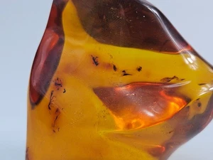 Amber insect. Natural Amber stone.  Fossil Inclusions Genuine Entomology - Bild 1 von 9