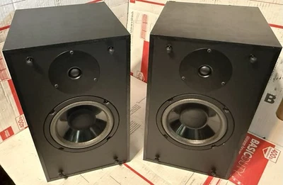 ALTOPARLANTI DA SCAFFALE VINTAGE PSB CENTURY 300i - MADE IN CANADA!! - Immagine 1 di 4