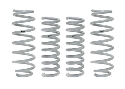 For 2015-2020 Dodge Challenger Eibach Drag Launch Kit (Competition Springs) - Image 1 of 3