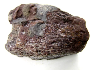 Dinosaurier Fossil Knochenfragment Morrison Formation Oberjura - Bild 1 von 10