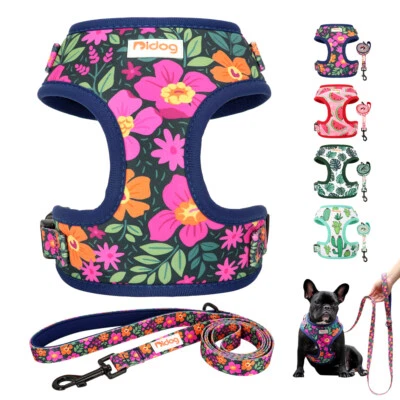Floral Dog Harness and Leash Soft Mesh Padded Walking Vest for Small Medium Dogs - Image 1 of 4