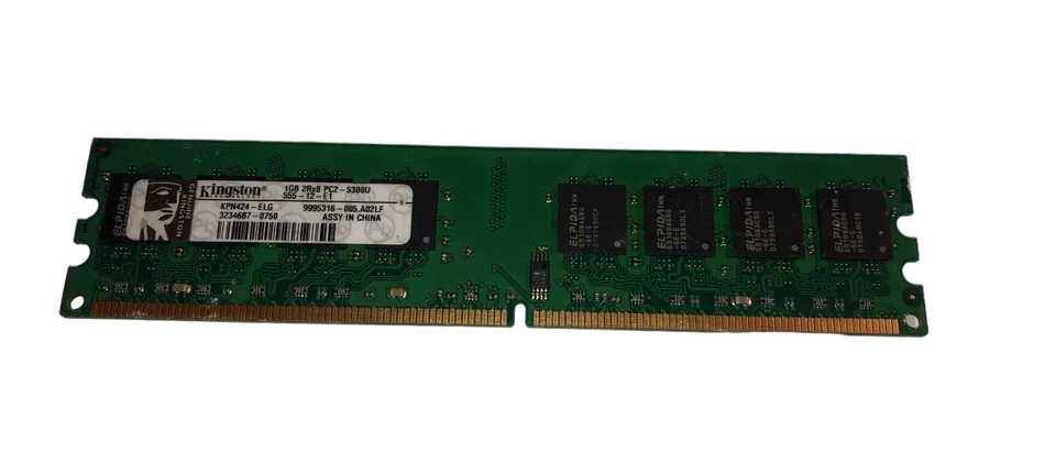 Memoria DDR2 KPN424-ELG Kingston 1GB PC2-5300 DDR2-667MHz CL5 240-Pin - Immagine 1 di 1