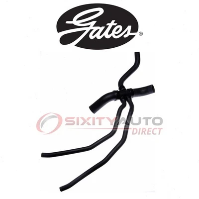Gates Lower Radiator Coolant Hose for 1999 Lincoln Navigator 5.4L V8 - yl Foto 1 de 4