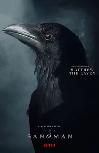 BB4406 The Sandman Show By David Goyer 2022 Crow Movie Poster 11x17 - Picture 1 of 9