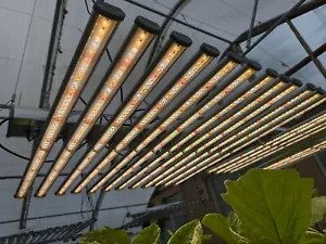 720 Watt led grow light full spectrum NEW IN BOX - Picture 1 of 5