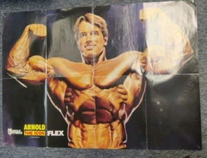 Muscle & Fitness Flex 06/1994 Arnold Schwarzenegger The Icon Poster- Poster Only - Picture 1 of 6