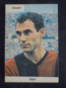 "SAIM 1962/63" ZIEGE (BOLOGNA) - Bild 1 von 2