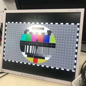 Ezio Flexscan S1721 17in Color LCD Computer Display 60Hz Monitor - Picture 1 of 15