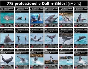 775 Lizenzfreie Profi-Bilder Delfine ! 3 DVDs! UVP 500,- Royalty Free Photoshop - Bild 1 von 19