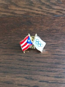 US AMERICA OLYMPICS Collectors Pin Sports Pins with Pinback - Picture 1 of 2