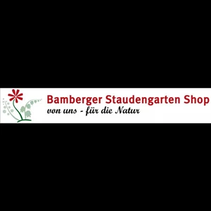 Astilbe x thunbergii 'Rote Straußenfeder' - Thunbergs Garten-Prachtspiere 'Rote… - Bild 1 von 1