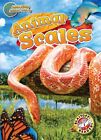 Animal Scales Library By Schuh Mari Brand New Free Shipping In The Us
