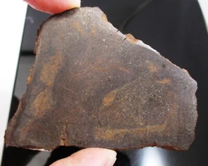 Mills meteorite slice - 47.3 gram - H6 - Ex. Huss Ex. Walton - New Mexico - Picture 1 of 7