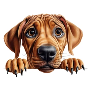 Rhodesian Ridgeback Auto Aufkleber 9X9 cm Hunde Sticker - Bild 1 von 1