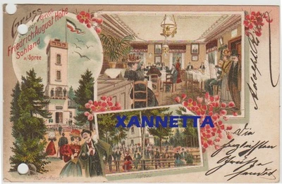 1903 Litho-AK Prinz Friedrich August Höhe Sohland Spree Steinigtwolmsdorf - Bild 1 von 2