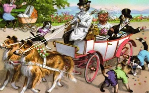 Cartolina Alfred Mainzer carrozza trainata da cani gatti sposati cavalcata in Collie 4920 - Foto 1 di 1