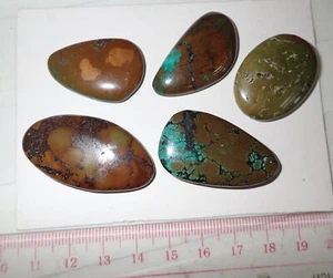 Turquoise Stone Flat Free Form Cabochon 167 Carat 5 pieces 33.4 gram - Picture 1 of 5