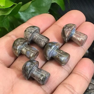 10pcs natural rhyolite Mushroom Quartz Crystal Reiki healing gem - Picture 1 of 9