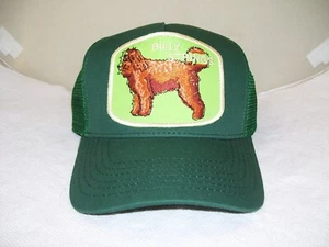 Billy Strings 2025 Spring Tour Hat Billy's Dog "Bear" Imogene & Willie NEW - Picture 1 of 3