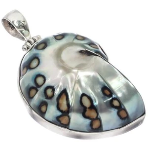 925 Sterling Silver Paisley Batik Polish Nautilus Shell In Sterling Pendant, 2" - Picture 1 of 4