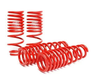 Skunk2 For '92-'95 Civic / del Sol Lowering Springs - 519-05-1480 - Picture 1 of 1