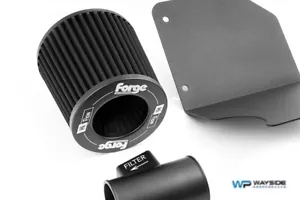 FILTRO PLISADO Forge Motorsport para Ford Fiesta Mk7 7.5 1.0 Ecoboost - Imagen 1 de 7