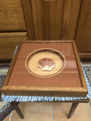 Marco de paseo concha de mar pulido irlandés plano colgante 13” x 13” DECORACIÓN DE PLAYA TROPICAL Foto 1 de 4