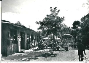 go 066 1959 GRADO (Gorizia) - Camping Al Bosco - viaggiata Ediz. Giornalfoto - Imagen 1 de 1