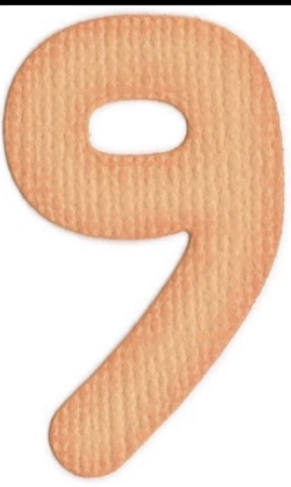 QuicKutz Die #9 Nine Birthday Number  New Diecut Sizzix Scrapbook Papercraft 2x2 - Image 1 of 1