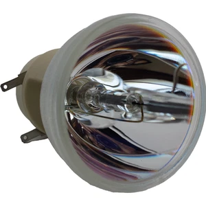 Jaspertronics™ OEM DX211 Bulb for Optoma Projectors - Picture 1 of 9
