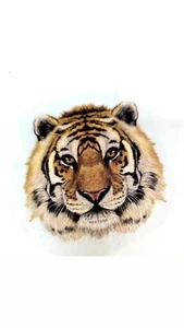 Aufbügler Patches Tiger brandneu ca. 7x8 cm rund. ca 8x5 cm oval - Bild 1 von 8