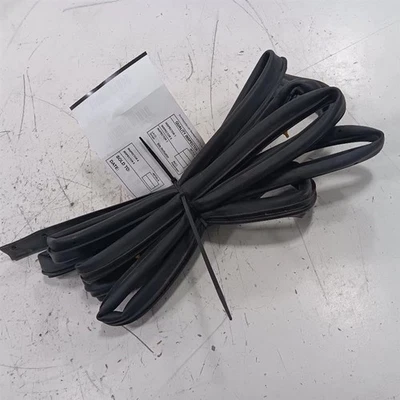 Sello de goma para puerta trasero pasajero derecho Kia Soul 2017 2018 2019 Foto 1 de 4