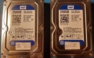 Coppia Hard Disk WD Blue 250GB SATA 3.5" 16MB Cache WD2500AAKX Funzionanti - Foto 1 di 2