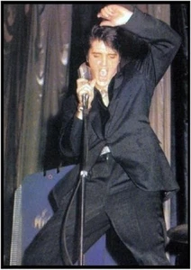 Elvis Presley   FRIDGE MAGNET 185----see my other Elvis items in my shop - Picture 1 of 1