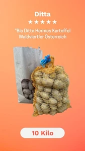 Bio Kartoffeln Ditta Hermes 10 Kilo Österreich Waldviertler  - Picture 1 of 2