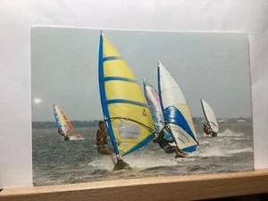 Vacationers Windsurfing in Florida: - Vintage Postcard - Picture 1 of 3
